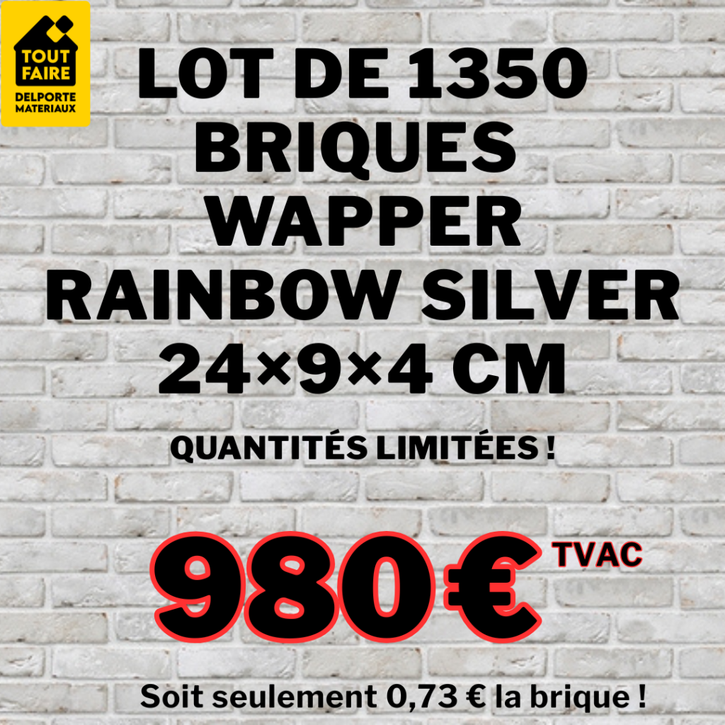 Brique Wapper Rainbow Silver